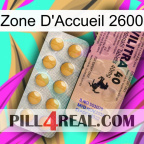 Home Zone 2600 41